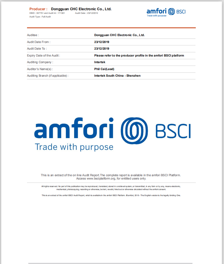 BSCI Audit Repot